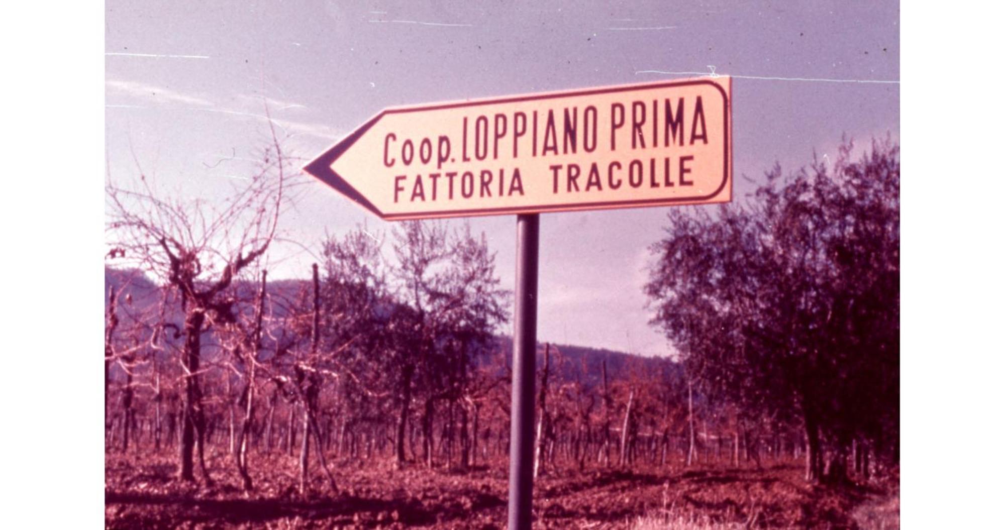 הוילה Vivajo Agriturismo Fattoria Di Loppiano Regina Mundi מראה חיצוני תמונה